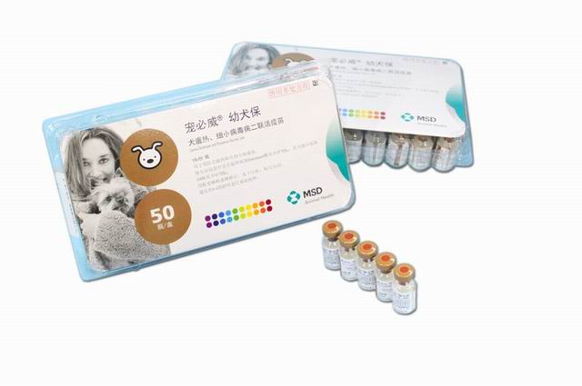 幼犬保