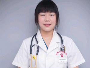 医师团队
